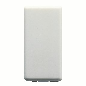 GW20056 1g Blank Switch insert